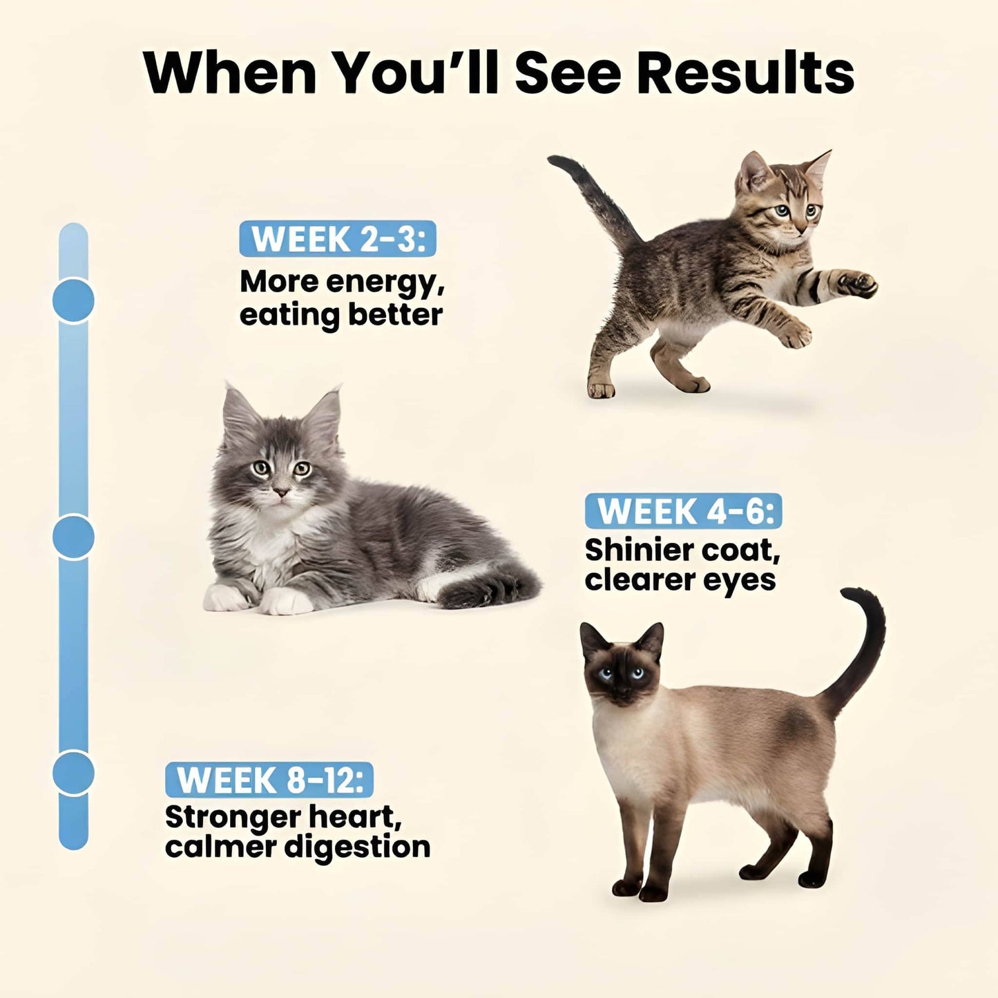 Pure Cat Taurine