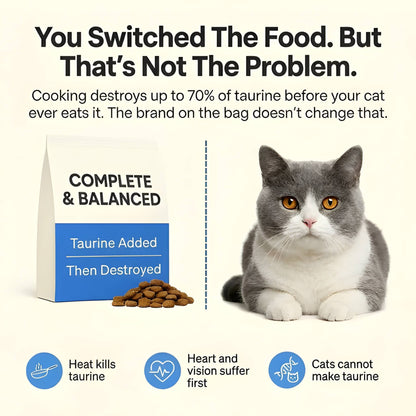 Pure Cat Taurine